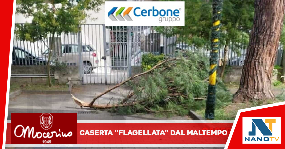 Alberi abbattuti a causa del forte vento: due città ‘flagellate’