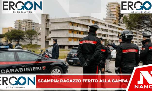 I carabinieri della locale Stazione intervengono nell’istituto scolastico “Pontano delle Arti e dei Mestieri” in viale della Resistenza per la segnalazione da parte della dirigente scolastica di un ragazzo ferito da arma bianca all’altezza della gamba.