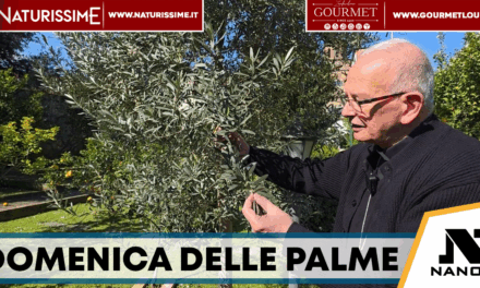 Domenica delle Palme, il messaggio del vescovo Spinillo: “Segno di pace e speranza”