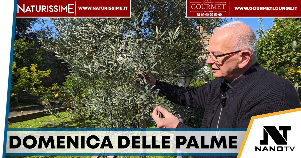 Domenica delle Palme, il messaggio del vescovo Spinillo: “Segno di pace e speranza”