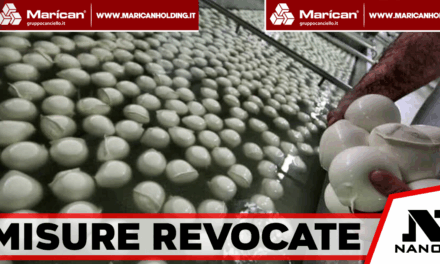 Fondi Invitalia, annullata l’ordinanza per gli imprenditori Griffo