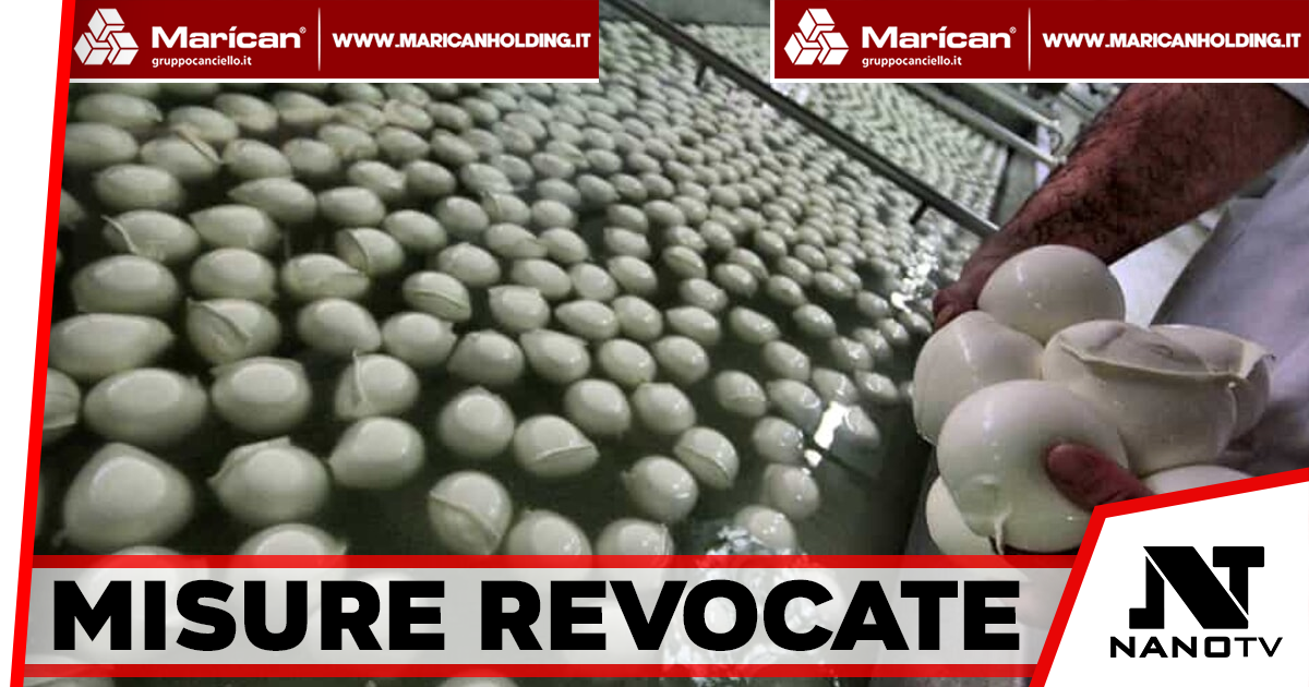 Fondi Invitalia, annullata l’ordinanza per gli imprenditori Griffo