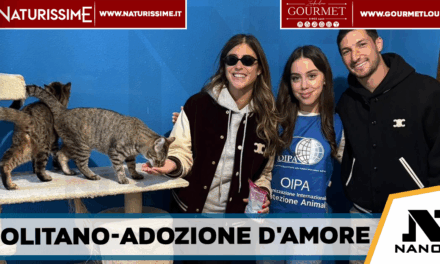 Napoli-Politano e sua moglie adottano due gattine dall’OIPA