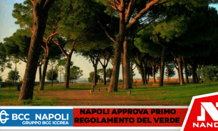 Napoli, la Giunta Manfredi approva il primo Regolamento del Verde: una svolta storica per il patrimonio naturalistico della città