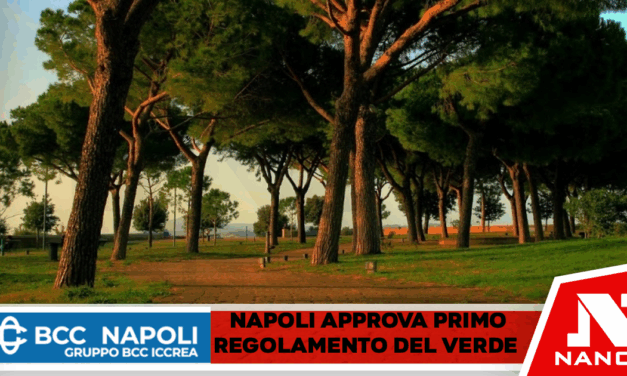 Napoli, la Giunta Manfredi approva il primo Regolamento del Verde: una svolta storica per il patrimonio naturalistico della città