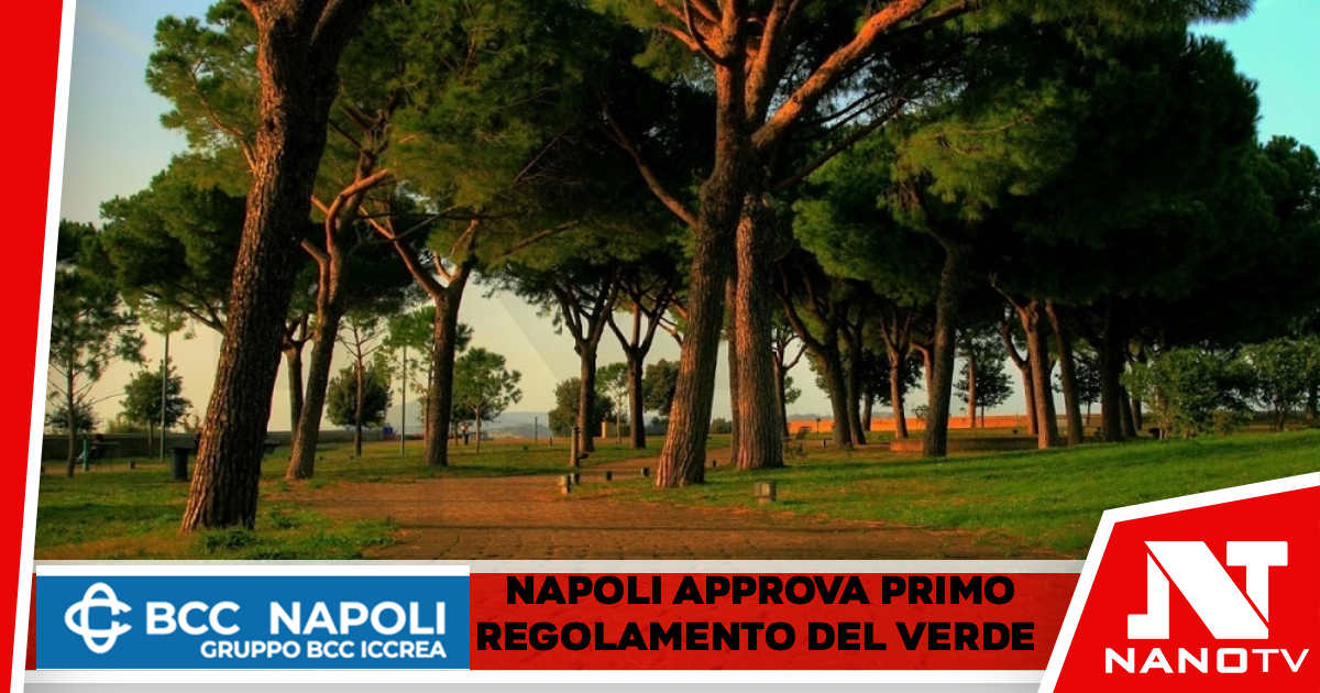 Napoli, la Giunta Manfredi approva il primo Regolamento del Verde: una svolta storica per il patrimonio naturalistico della città