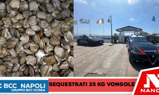 TORRE DEL GRECO: epatite A,  carabinieri denunciano 73enne. In auto 25 kg di vongole veraci senza tracciabilità