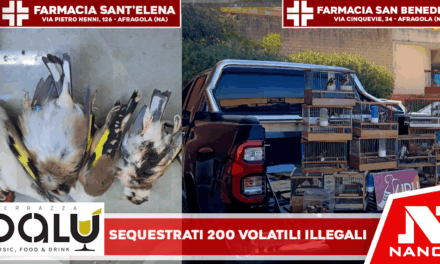ORTA DI ATELLA: LA POLIZIA PROVINCIALE SEQUESTRA OLTRE 200 VOLATILI DETENUTI ILLEGALMENTE. DENUNCIATA UNA DONNA