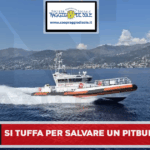 Si tuffa per salvare il cane e rischia di annegare a Castellammare di Stabia