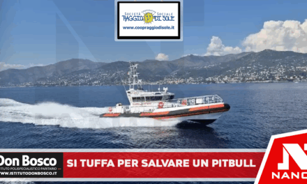 Si tuffa per salvare il cane e rischia di annegare a Castellammare di Stabia