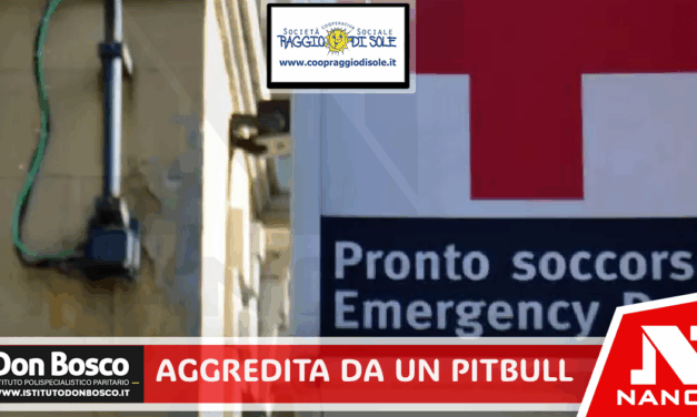 Pitbull assale una donna a Ischia, cane abbattuto per fermare l’attacco
