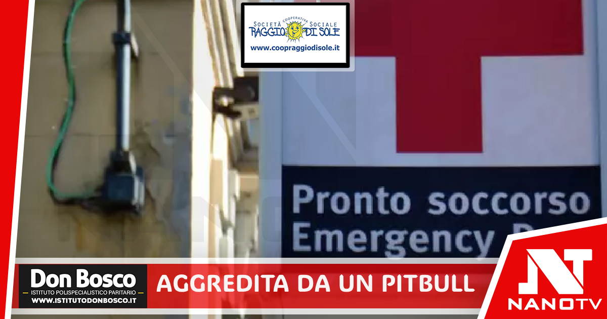 Pitbull assale una donna a Ischia, cane abbattuto per fermare l’attacco