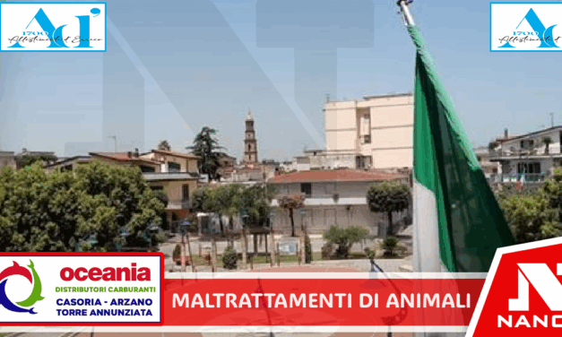 *SAN VITALIANO: Maltrattamento di animali, un cucciolo senza zampa e ferita infetta. Uno morto e altri cani stipati in box minuscoli. 53enne denunciato dai Carabinieri*