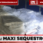 Maxi sequestro di droga al porto di Napoli: oltre mezza tonnellata di hashish intercettata dai Carabinieri