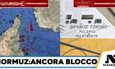 Medio Oriente-Nave partenopea Grimaldi bloccata a Hormuz: equipaggio al sicuro