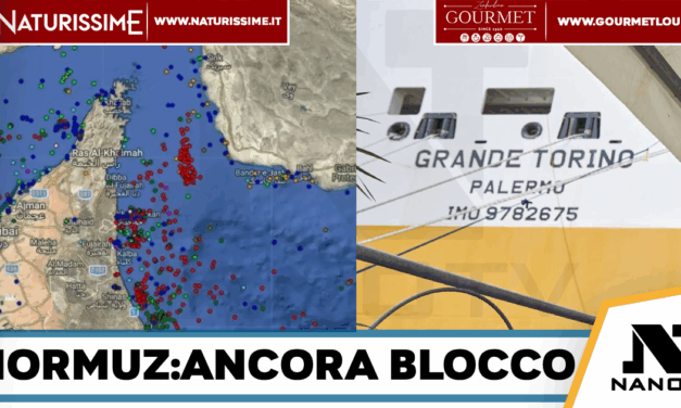 Medio Oriente-Nave partenopea Grimaldi bloccata a Hormuz: equipaggio al sicuro