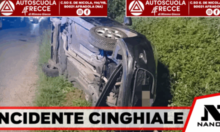 Evita un cinghiale e finisce fuori strada: paura sulla Sp69 ad Alife