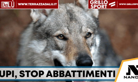 Lupi, la Regione Campania: “Stop agli abbattimenti, già superati i limiti previsti”
