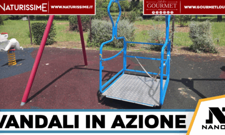 Afragola-Vandalizzata la giostra inclusiva per bambini con disabilità