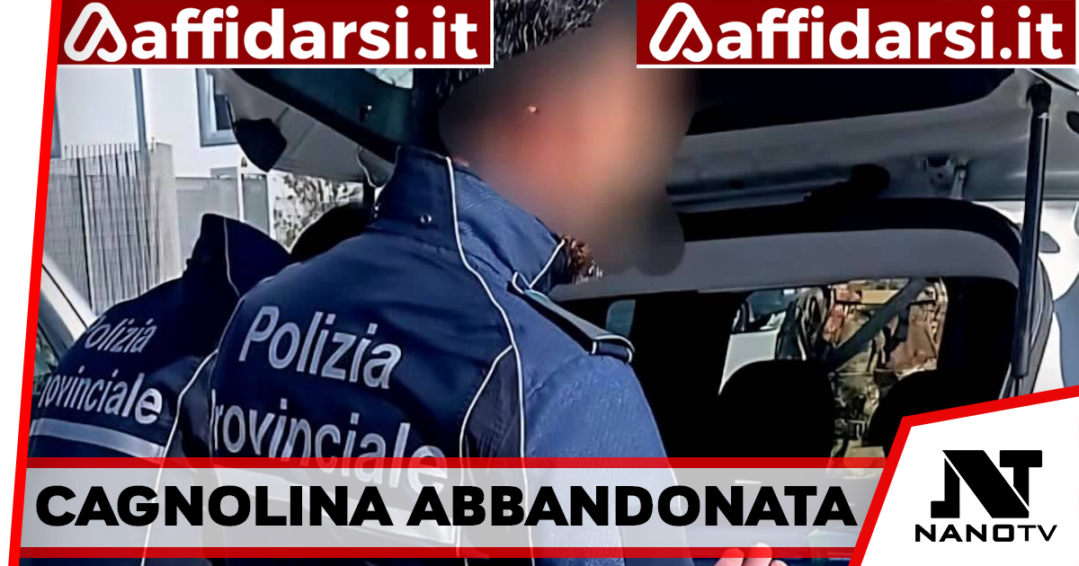Aversa, abbandona una cagnolina in strada: investita e uccisa dopo pochi minuti