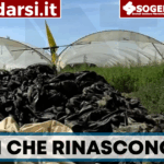 Terra dei Fuochi, al via la bonifica delle aziende agricole: da Teverola parte il piano Coldiretti-Polieco