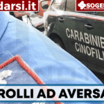 Aversa, controlli straordinari dei carabinieri: denunce, sequestri e allacci abusivi alla rete elettrica