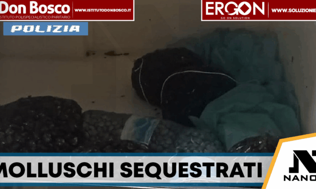Molluschi senza tracciabilità: sequestrati 70 chili sulla Tangenziale di Napoli