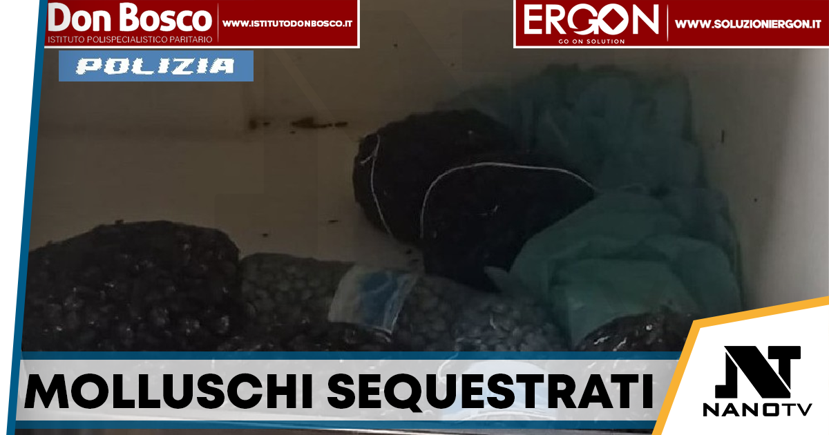 Molluschi senza tracciabilità: sequestrati 70 chili sulla Tangenziale di Napoli