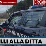 Poggiomarino, sequestrata azienda ortofrutticola: contestati scarichi industriali e gestione illecita dei rifiuti