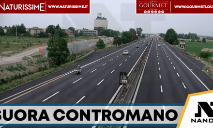 Suora contromano in autostrada: salvata dalla Polizia sulla Napoli-Salerno