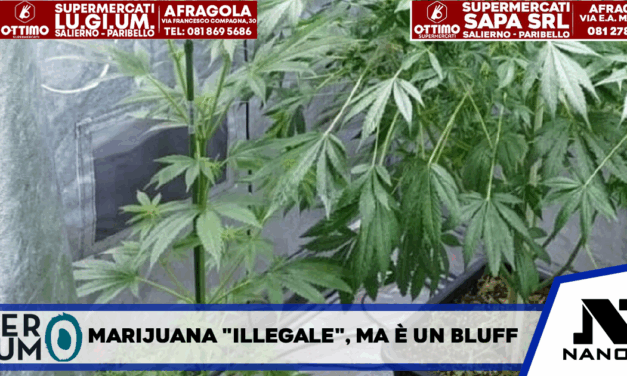 Marijuana ‘illegale’ ma è un bluff, svolta per i titolari di un drug shop
