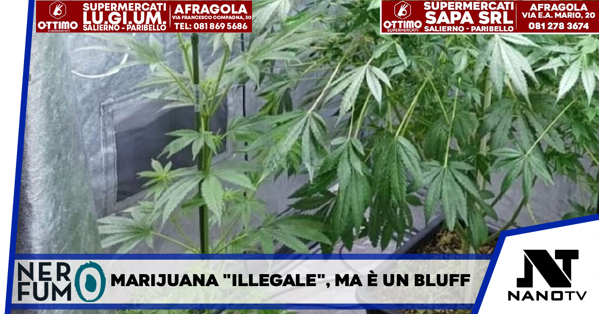Marijuana ‘illegale’ ma è un bluff, svolta per i titolari di un drug shop