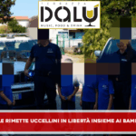 SAN NICOLA LA STRADA (CE) la polizia municipale rimette in libertà uccellini ,insieme ai bambini