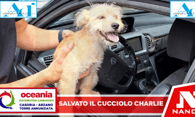 *Il cucciolo Charlie salvato dalla Polizia Metropolitana di Napoli*
