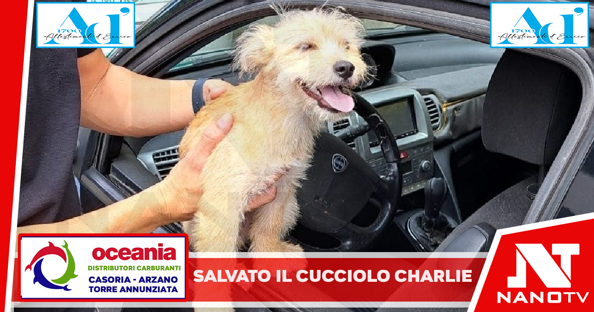 *Il cucciolo Charlie salvato dalla Polizia Metropolitana di Napoli*