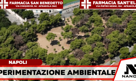 L’esercito dei coleotteri per salvare i pini di Napoli: via alla prima sperimentazione al mondo