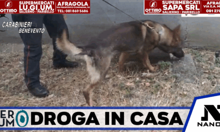 Benevento, droga in casa: denunciato 42enne. Una 41enne segnalata alla Prefettura
