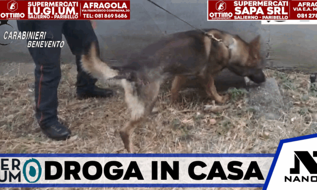 Benevento, droga in casa: denunciato 42enne. Una 41enne segnalata alla Prefettura