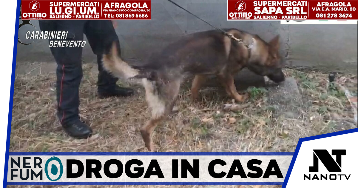 Benevento, droga in casa: denunciato 42enne. Una 41enne segnalata alla Prefettura