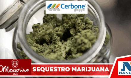 Blitz in un negozio ambulante: sequestrati 29 grammi di marijuana, denunciato il titolare
