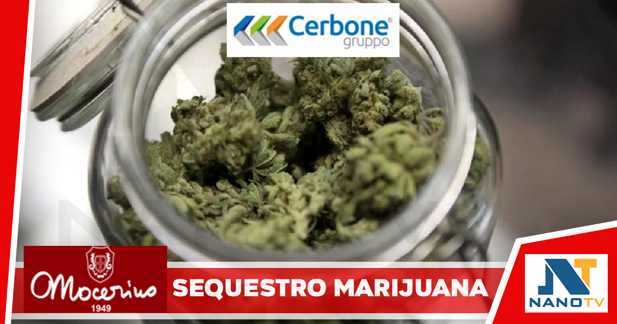 Blitz in un negozio ambulante: sequestrati 29 grammi di marijuana, denunciato il titolare