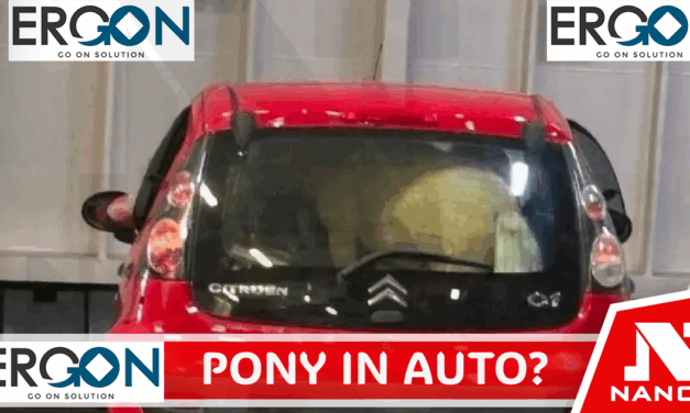 Medmar, ‘pony in auto sul traghetto per Ischia? Se vero gravi omissioni’