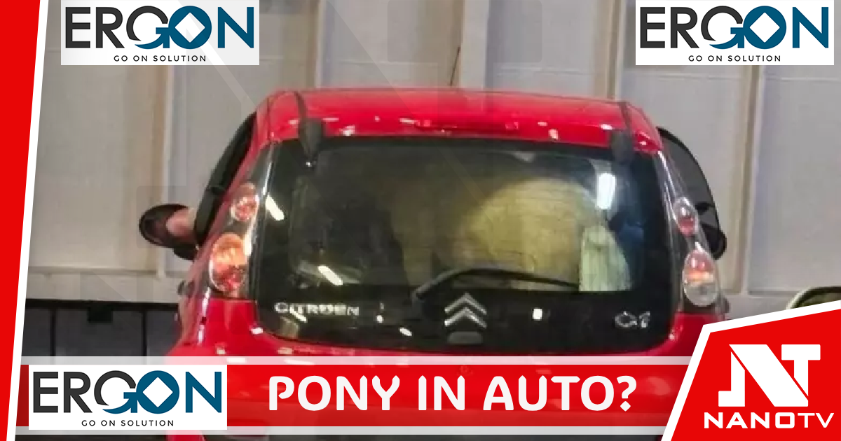 Medmar, ‘pony in auto sul traghetto per Ischia? Se vero gravi omissioni’