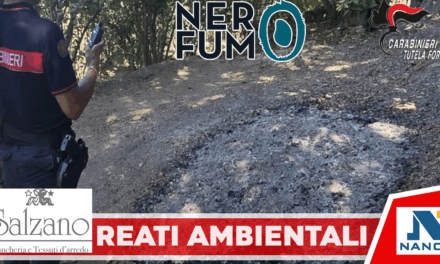 Contrasto ai reati ambientali, sei persone denunciate per aver dato fuoco a residui vegetali