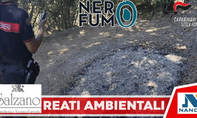 Contrasto ai reati ambientali, sei persone denunciate per aver dato fuoco a residui vegetali