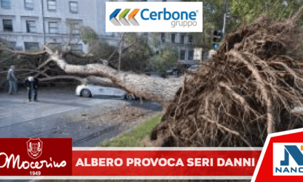 Acerra: Questa notte i carabinieri sono intervenuti a via Nicolò Paganini per un albero caduto per maltempo