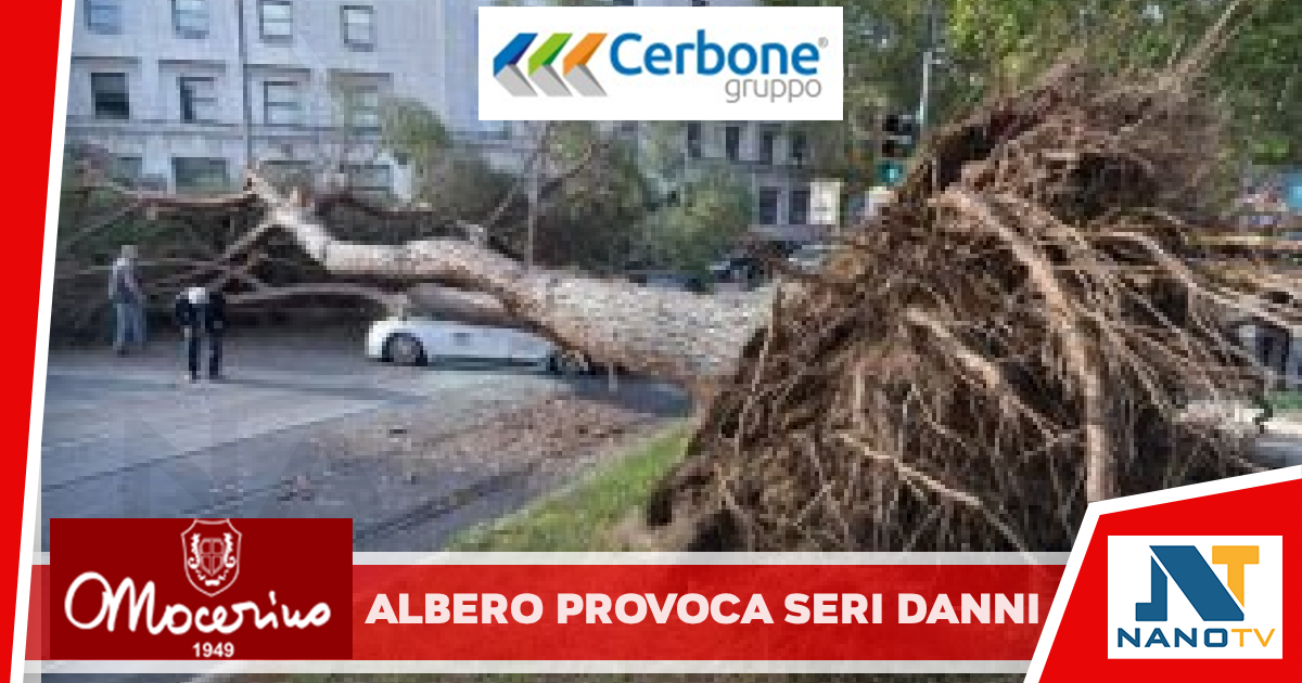 Acerra: Questa notte i carabinieri sono intervenuti a via Nicolò Paganini per un albero caduto per maltempo