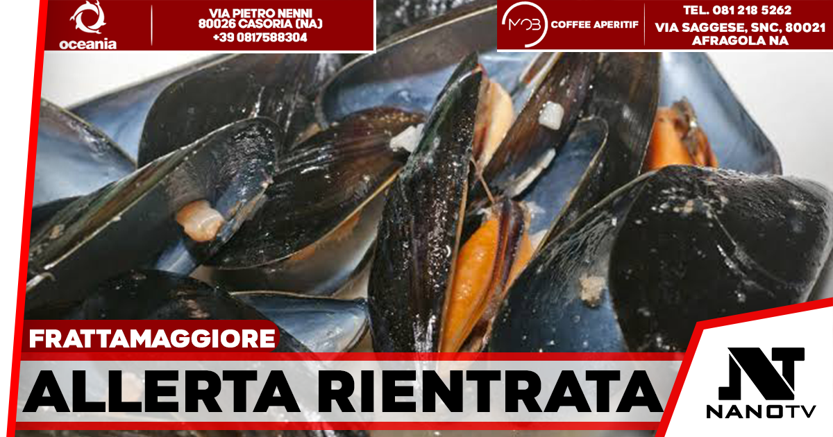 Frattamaggiore, rientra l’allarme epatite A: revocato il divieto sui frutti di mare crudi
