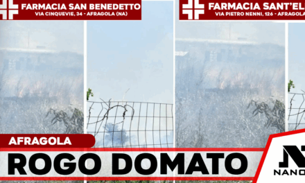 Afragola – Incendio di sterpaglie a Scafatella, sul posto vigili del fuoco e polizia municipale