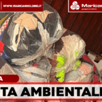 Terra dei Fuochi, maxi-stretta contro gli illeciti: sequestri, denunce e un opificio fuorilegge nella rete dei controlli